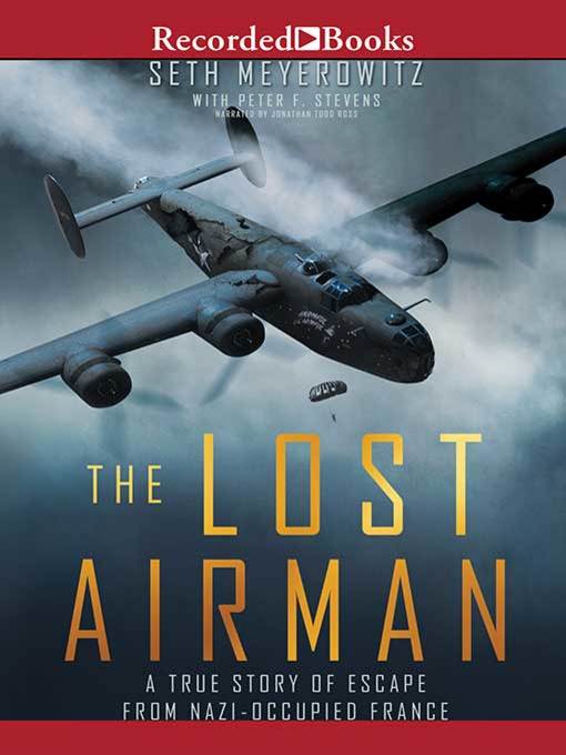 Title details for The Lost Airman by Seth Meyerowitz - Available